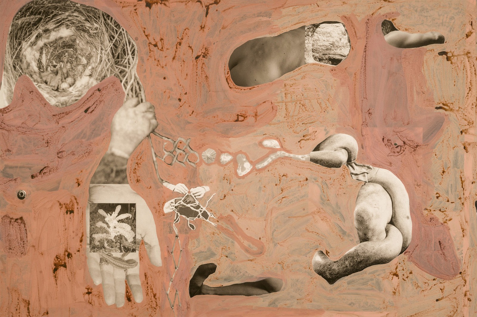 圖十二、《地勢 (關(guān)于時間，關(guān)于身體)》 (細(xì)節(jié)圖)，O?zlem Alt?n，2019